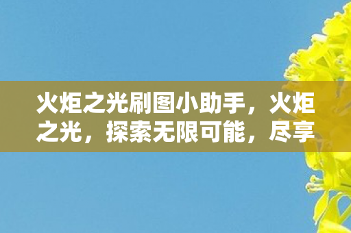 火炬之光刷图小助手，火炬之光，探索无限可能，尽享刷怪乐趣