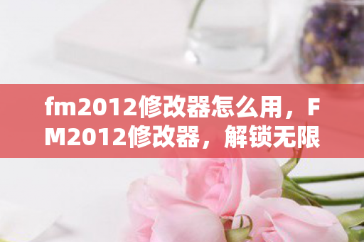 fm2012修改器怎么用，FM2012修改器，解锁无限可能的足球管理模拟新体验