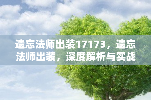 遗忘法师出装17173，遗忘法师出装，深度解析与实战应用