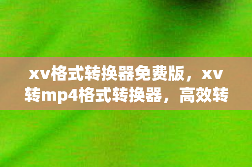 xv格式转换器免费版，xv转mp4格式转换器，高效转换，轻松享受高清视频
