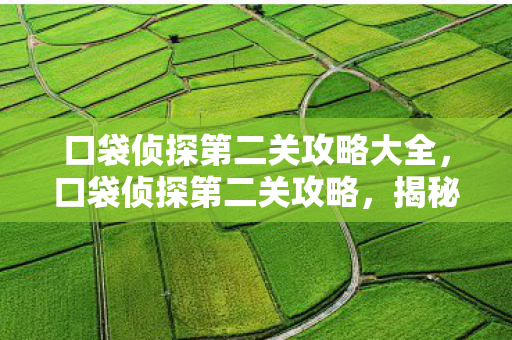 口袋侦探第二关攻略大全，口袋侦探第二关攻略，揭秘关键线索，成功破解案件