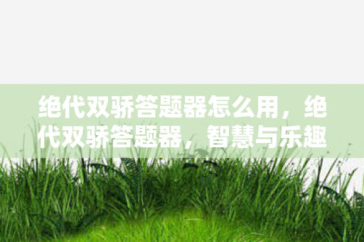 绝代双骄答题器怎么用，绝代双骄答题器，智慧与乐趣的完美结合