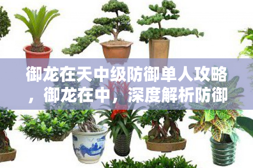 御龙在天中级防御单人攻略，御龙在中，深度解析防御单人的策略与技巧