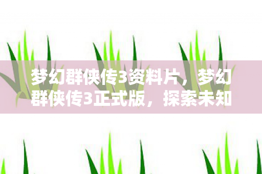 梦幻群侠传3资料片，梦幻群侠传3正式版，探索未知世界的奇幻之旅