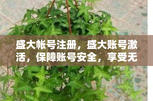 盛大帐号注册，盛大账号激活，保障账号安全，享受无忧游戏体验