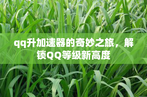 qq升加速器的奇妙之旅，解锁QQ等级新高度