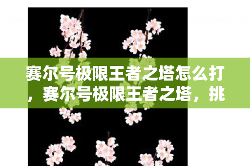 赛尔号极限王者之塔怎么打，赛尔号极限王者之塔，挑战与荣耀的巅峰