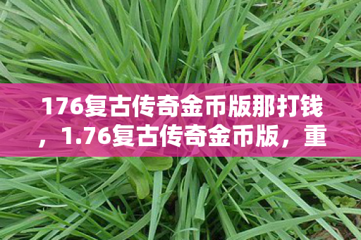 176复古传奇金币版那打钱，1.76复古传奇金币版，重温经典，金币新体验
