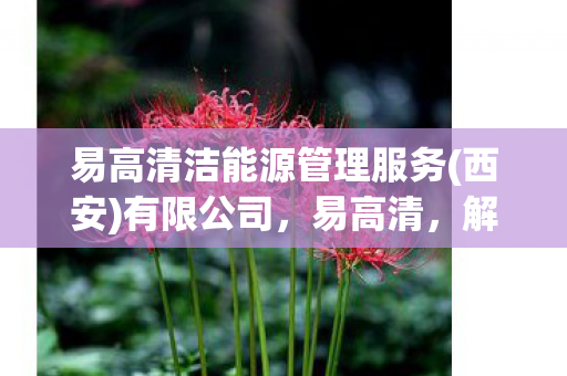 易高清洁能源管理服务(西安)有限公司，易高清，解锁高清观影新体验