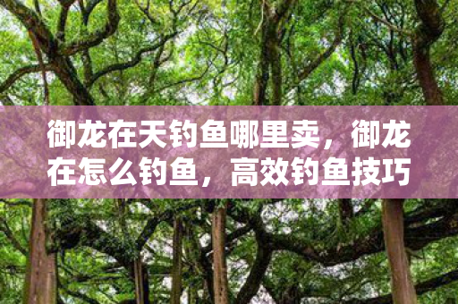 御龙在天钓鱼哪里卖，御龙在怎么钓鱼，高效钓鱼技巧与策略分享