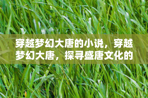 穿越梦幻大唐的小说，穿越梦幻大唐，探寻盛唐文化的魅力