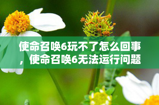 使命召唤6玩不了怎么回事，使命召唤6无法运行问题解析