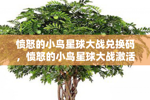 愤怒的小鸟星球大战兑换码，愤怒的小鸟星球大战激活码，解锁星际冒险的密钥