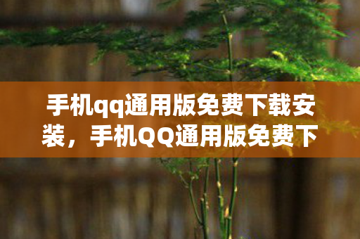 手机qq通用版免费下载安装，手机QQ通用版免费下载，安全、便捷、官方授权