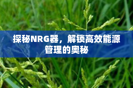 探秘NRG器，解锁高效能源管理的奥秘