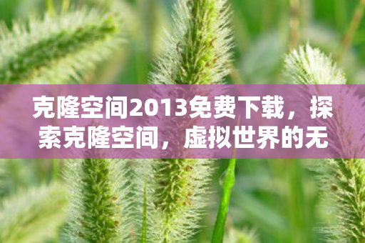 克隆空间2013免费下载，探索克隆空间，虚拟世界的无限可能