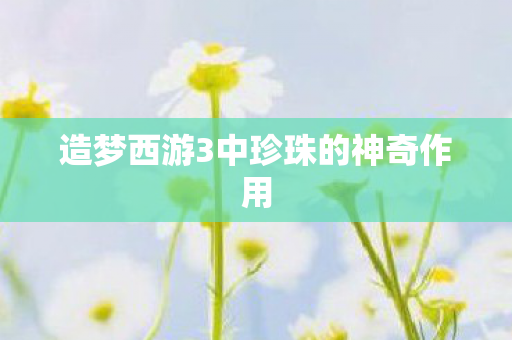 造梦西游3中珍珠的神奇作用