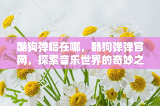 酷狗弹唱在哪，酷狗弹弹官网，探索音乐世界的奇妙之旅