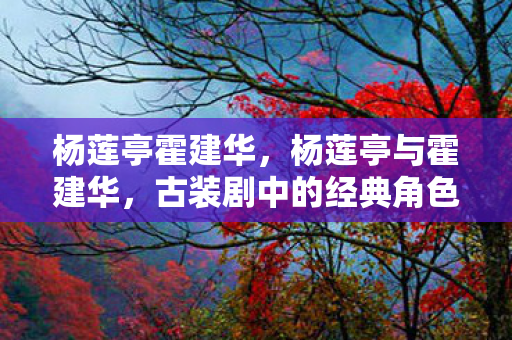 杨莲亭霍建华，杨莲亭与霍建华，古装剧中的经典角色与演员的成长之路