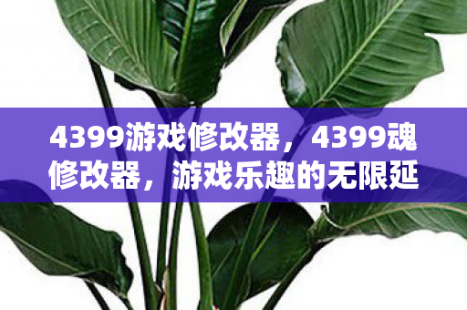 4399游戏修改器，4399魂修改器，游戏乐趣的无限延伸