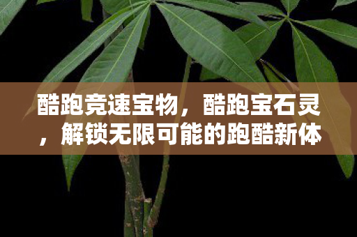 酷跑竞速宝物，酷跑宝石灵，解锁无限可能的跑酷新体验