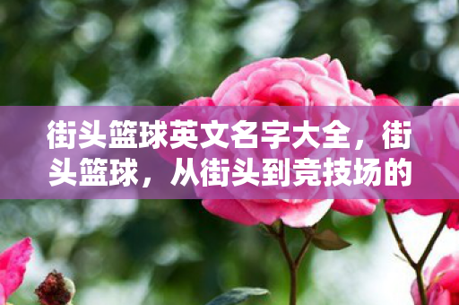 街头篮球英文名字大全，街头篮球，从街头到竞技场的华丽蜕变
