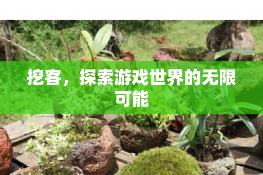 挖客，探索游戏世界的无限可能