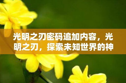 光明之刃密码追加内容，光明之刃，探索未知世界的神秘钥匙