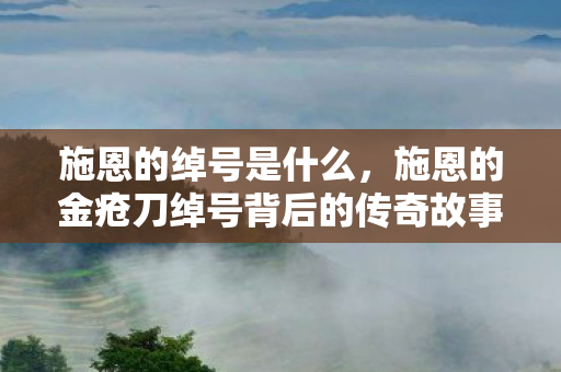 施恩的绰号是什么，施恩的金疮刀绰号背后的传奇故事