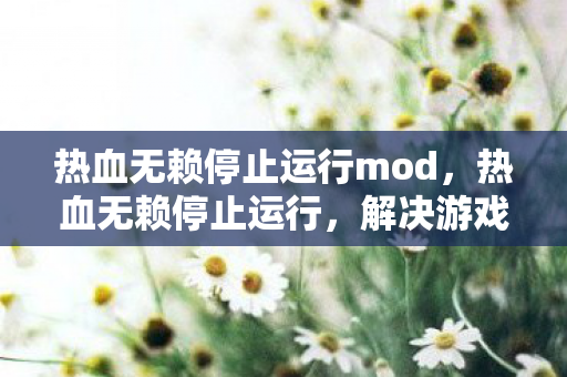 热血无赖停止运行mod，热血无赖停止运行，解决游戏崩溃的实用方法