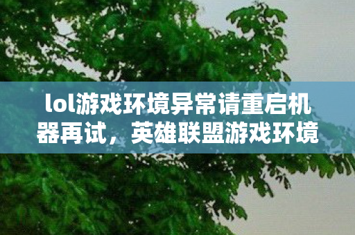 lol游戏环境异常请重启机器再试，英雄联盟游戏环境异常，重启机器，共创公平竞技