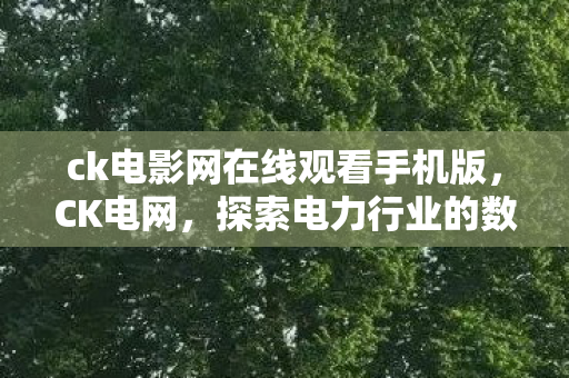 ck电影网在线观看手机版，CK电网，探索电力行业的数字化变革之路