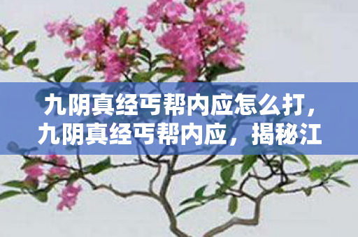 九阴真经丐帮内应怎么打，九阴真经丐帮内应，揭秘江湖背后的权力游戏