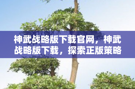 神武战略版下载官网，神武战略版下载，探索正版策略游戏的魅力