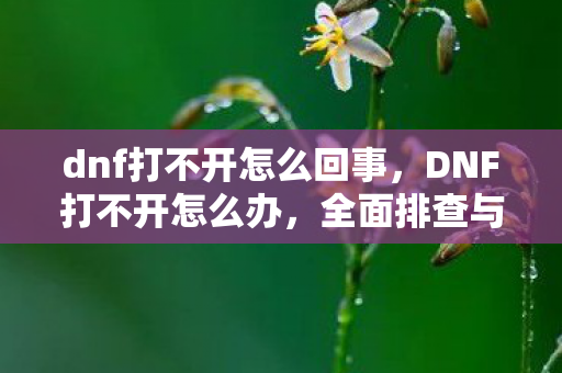 dnf打不开怎么回事，DNF打不开怎么办，全面排查与解决策略