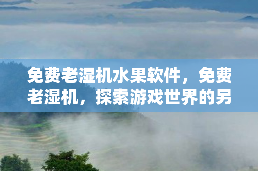 免费老湿机水果软件，免费老湿机，探索游戏世界的另类选择