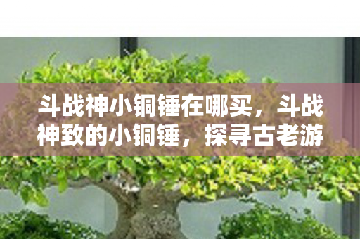 斗战神小铜锤在哪买，斗战神致的小铜锤，探寻古老游戏中的独特魅力