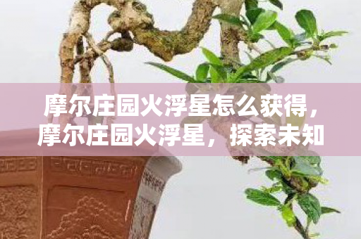 摩尔庄园火浮星怎么获得，摩尔庄园火浮星，探索未知星球的奇妙之旅