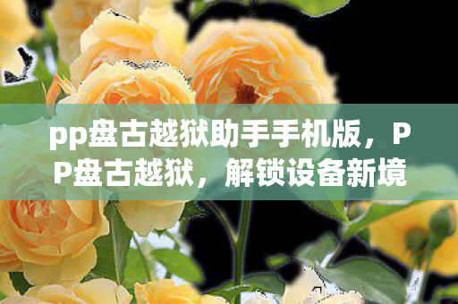 pp盘古越狱助手手机版，PP盘古越狱，解锁设备新境界，探索个性化与自由的边界