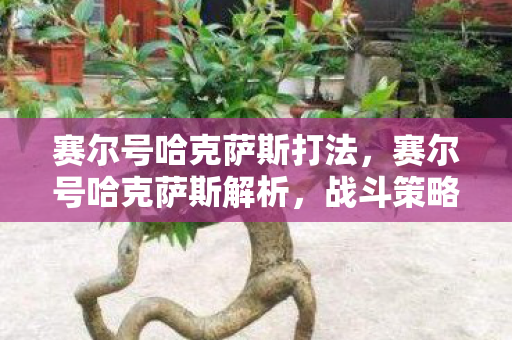 赛尔号哈克萨斯打法，赛尔号哈克萨斯解析，战斗策略与技能深度剖析