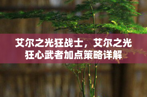 艾尔之光狂战士，艾尔之光狂心武者加点策略详解