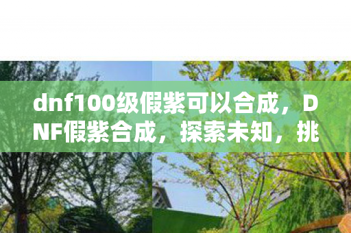 dnf100级假紫可以合成，DNF假紫合成，探索未知，挑战极限