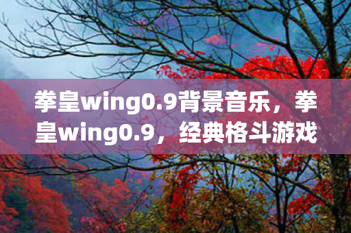 拳皇wing0.9背景音乐，拳皇wing0.9，经典格斗游戏的全新演绎