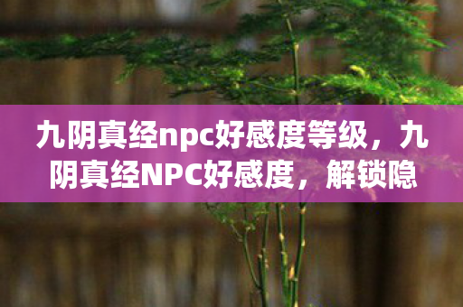 九阴真经npc好感度等级，九阴真经NPC好感度，解锁隐藏剧情与特殊奖励的秘籍