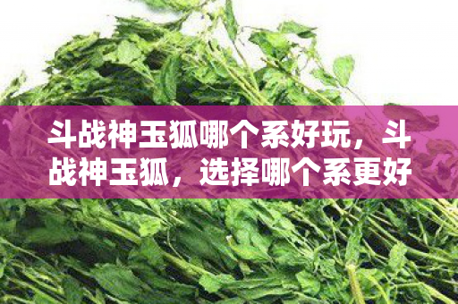 斗战神玉狐哪个系好玩，斗战神玉狐，选择哪个系更好？