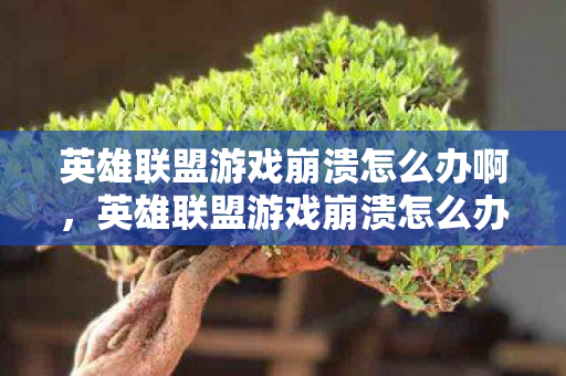 英雄联盟游戏崩溃怎么办啊，英雄联盟游戏崩溃怎么办