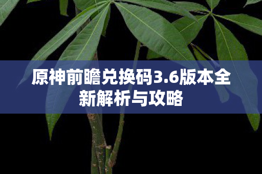 原神前瞻兑换码3.6版本全新解析与攻略