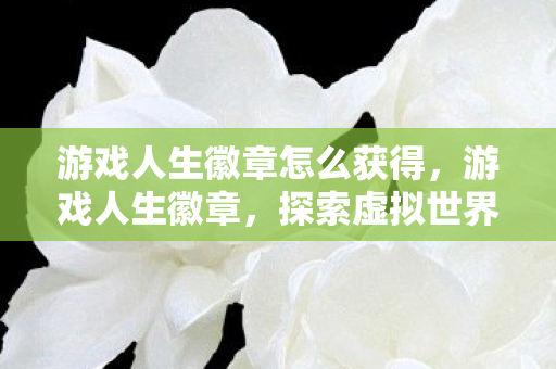游戏人生徽章怎么获得，游戏人生徽章，探索虚拟世界的荣耀之路