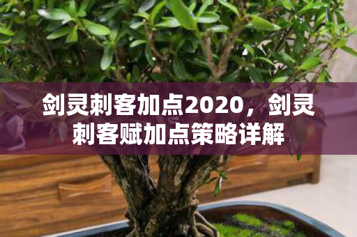 剑灵刺客加点2020，剑灵刺客赋加点策略详解