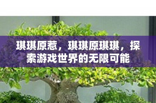 琪琪原惹，琪琪原琪琪，探索游戏世界的无限可能